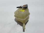 Ausgleichsbehälter RENAULT KOLEOS I (HY_) 2.0 dCi (HY0K) 21435JG70A