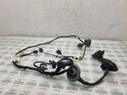 Türverkabelung hinten links AUDI Q7 (4L) 4.2 TDI quattro 4L0971687G