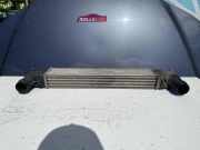 Kühlerluftumlenker SEAT ALHAMBRA (7V8, 7V9) 1.9 TDI 132002748A