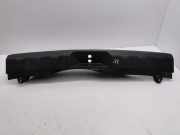 Zierleiste Nissan X-Trail II (T31) 84992JG00A