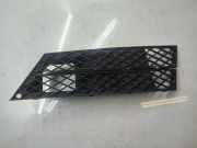 Gitter vorne unten BMW 5 Touring (E61) 530 d 7178111