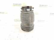 Stoßdämpfer rechts hinten Mercedes-Benz C-Klasse Coupe (C205) 2053200825