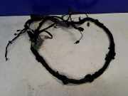 Verkabelung der hinteren Abdeckung JAGUAR F-TYPE Coupe (X152) 3.0 EX53-14A227-CC