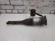 Pneumo-Stoßdämpfer hinten links AUDI A8 D3 (4E2, 4E8) 3.0 TDI quattro 4E0616001A