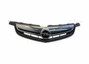 Vorderer oberer Gitter OPEL AMPERA EV 150 25975545