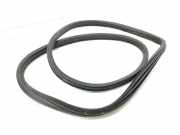 Türgummi links vorne Citroen DS5 ()