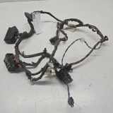 Kabel der vorderen linken Tür OPEL VECTRA C GTS 2.2 direct 13140011
