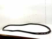 Dichtung für Koffer-/Laderaumklappe Renault Zoe (BFM)