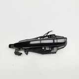 Türaußengriff hinten links DS DS 7 Crossback (X74) 2.0 BlueHDi 180 9820341280