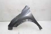 Kotflügel links vorne Lexus NX 1 () 1H9