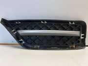 Gitter vorne unten BMW X1 (E84) xDrive 20 d 16771