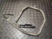 Dach SRS rechts BMW 4 Cabrio (F33, F83) 425 d 81312950