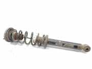 Stoßdämpfer hinten links BMW 5 (F10) 530 d
