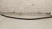 Dachleiste links BMW 5 Touring (G31) 520 d xDrive 7388753