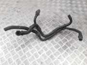 Schlauch Kühlung RENAULT LAGUNA Coupe (DT0/1) 3.0 dCi (DT03) 924100051R 206156