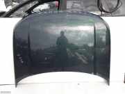 Motorhaube Land Rover Discovery IV (L319)