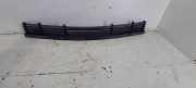 Gitter vorne unten BMW 5 Touring (E39) 525 tds 229449