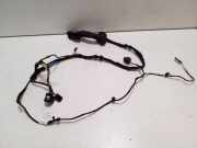 Türverkabelung hinten links BMW X6 (F16, F86) xDrive 30 d 9364911
