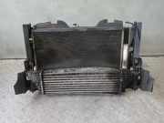 Kühler Suzuki SX S-Cross (JY)