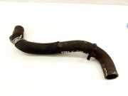 Schlauch Kühlung FORD S-MAX 2.0 TDCi DG938B274GC