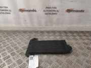 Kraftstoffkühler (Kühler) RENAULT TRAFIC III Furgon (FG_) 1.6 dCi 90 93868458