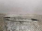 Dachreling links VW TIGUAN (AD1) 1.4 eHybrid