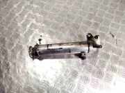 AGR-Kühler SAAB 9-3 (YS3F) 1.9 TTiD 8972292313