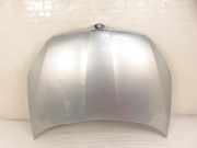 Motorhaube Skoda Fabia II (542)