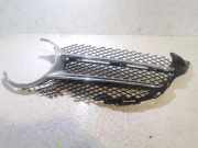Vorderer oberer Gitter MERCEDES-BENZ C (W205) AMG C 43 4-matic (205.064) A205880