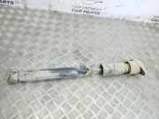Stoßdämpfer hinten links AUDI A6 (4B2, C5) 1.9 TDI