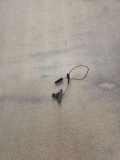 Sonnenschutzhalter AUDI A8 D2 (4D2, 4D8) 4.2 quattro 443857562B