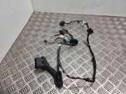 Kabel Tür Ford S-Max II (CJ, WA6) BG9T14K138JCC