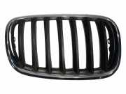 Vorderer oberer Gitter BMW X5 (E70) xDrive 30 d 7157688
