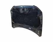 Motorhaube Audi Q5 (8R)