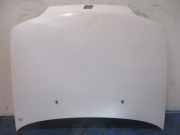 Motorhaube Fiat Punto (176)