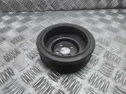 RIEMENSCHEIBE VW TRANSPORTER V (T5) Furgon 2.0 TDI 038105243m