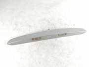 Kennzeichenbeleuchtung Verkleidung