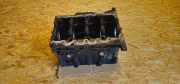 Motorblock VW PASSAT B7 ALLTRACK (365) 2.0 TDI 03L103021AL