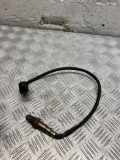 Sauerstoffsensor (Lambdasensor) BMW X5 (E70) xDrive 30 d 7794634