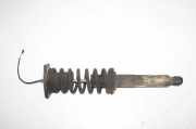 Stoßdämpfer hinten links MASERATI QUATTROPORTE V 4.2 462400001302