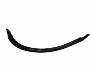 Andere Aufbauteile MERCEDES-BENZ SLK (R172) 250 CDI / d (172.403) A1728310298