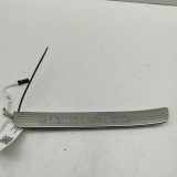 Schwellenverkleidung hinten links MERCEDES-BENZ GLE (W167) 400D 4MATIC A1676861400 A1676862100