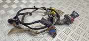 Kabel Tür Peugeot 307 () 9661139980