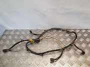 Kabelbaum Hinteren Parksensoren OPEL ANTARA 2.0 CDTI 4x4