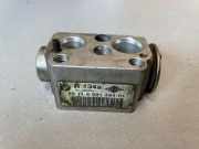 A/C Conditioner Expansion Valve BMW 3 Touring (E91) 320 d 6981484