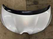 Motorhaube RENAULT SCÉNIC IV (J9_) 1.6 dCi 160