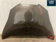 Motorhaube Nissan Leaf (ZE0) F51003NLMA