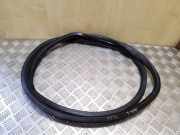 Türdichtung Audi A6 Allroad (4G)