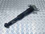 Stoßdämpfer hinten links JAGUAR F-PACE (X761) 2.0 AWD J9C318080AF