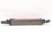 Ladeluftkühler Fiat Bravo II (198)